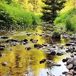 דירה Thueringer Waldbaude טמבאך-דיטהרץ