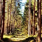 דירה Thueringer Waldbaude טמבאך-דיטהרץ