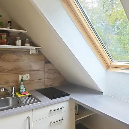 Apartment Thueringer Waldbaude *