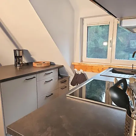 Apartment Thueringer Waldbaude *