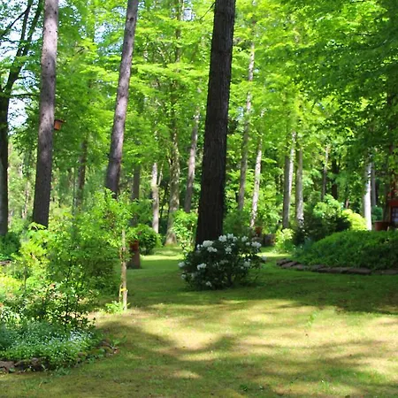 Apartment Thueringer Waldbaude