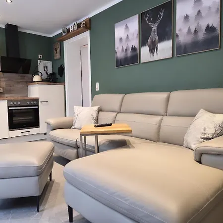 Thueringer Waldbaude Daire *