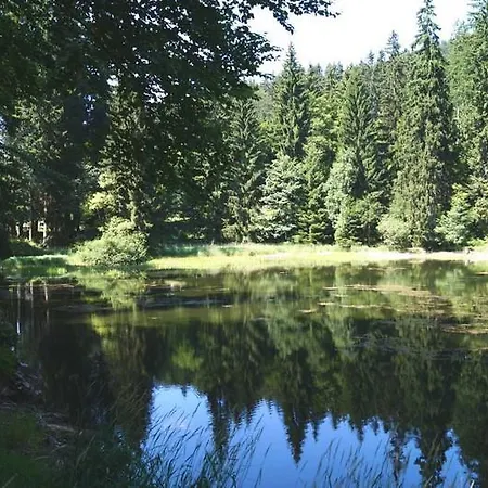 Thueringer Waldbaude *