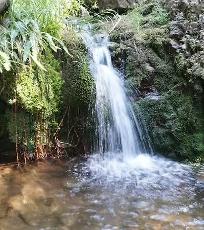 Thueringer Waldbaude