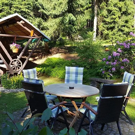 Thueringer Waldbaude Daire