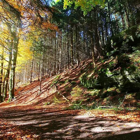 Thueringer Waldbaude * Tambach-Dietharz