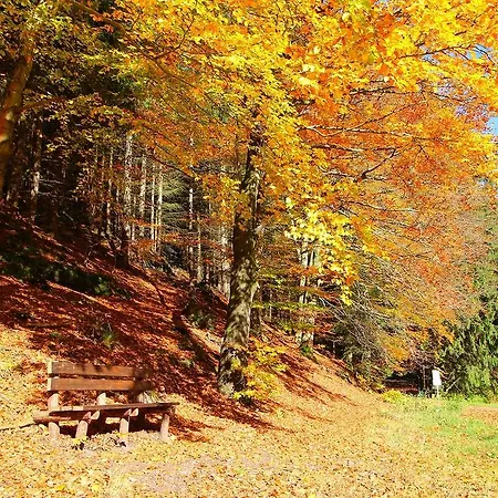 Thueringer Waldbaude Tambach-Dietharz