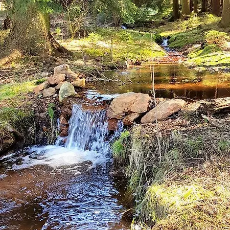 Thueringer Waldbaude Tambach-Dietharz