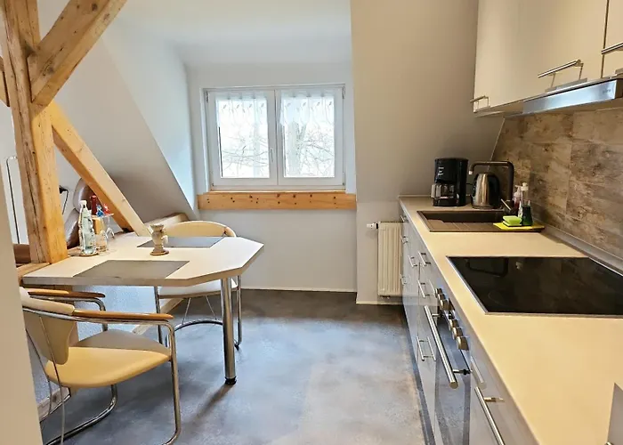 Thueringer Waldbaude Daire *