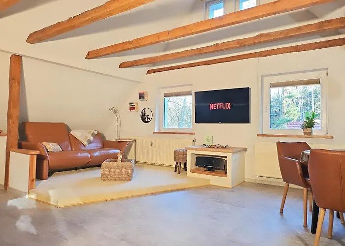 Thueringer Waldbaude Daire *