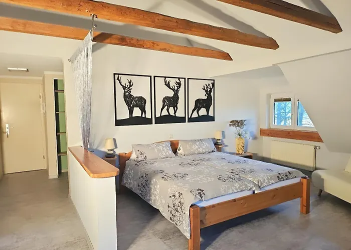 Daire Thueringer Waldbaude Tambach-Dietharz