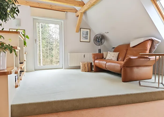 Thueringer Waldbaude Daire