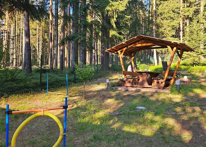 Daire Thueringer Waldbaude Tambach-Dietharz