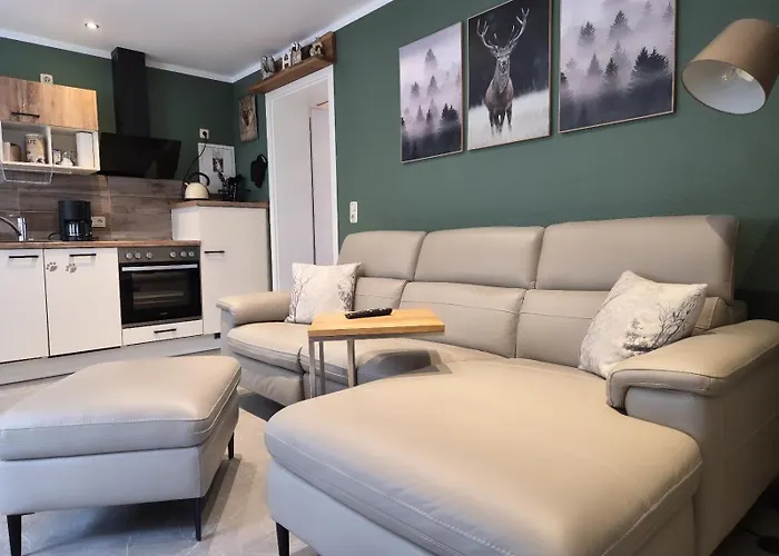 Thueringer Waldbaude Daire *