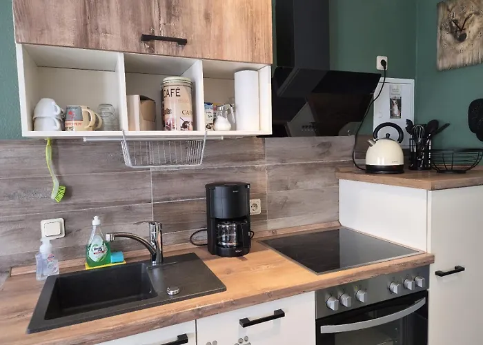 Thueringer Waldbaude Daire *