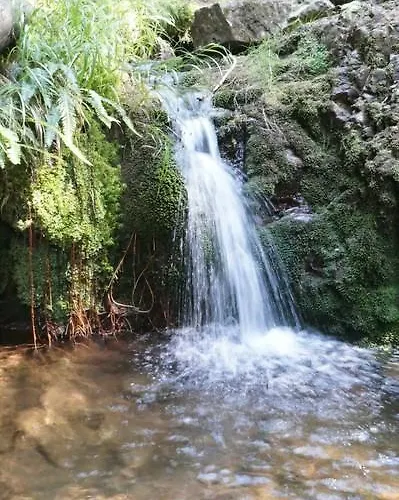 Thueringer Waldbaude