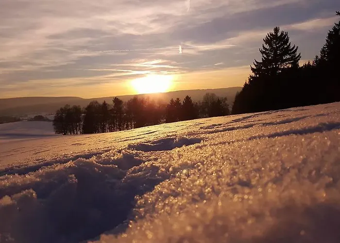 Daire Thueringer Waldbaude *