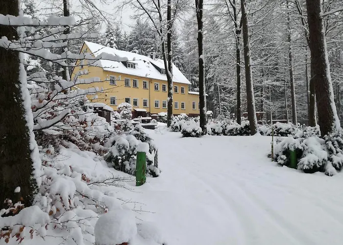 Daire Thueringer Waldbaude