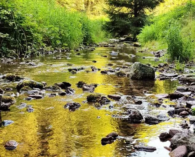 Daire Thueringer Waldbaude Tambach-Dietharz