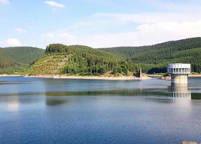 Thueringer Waldbaude Daire *