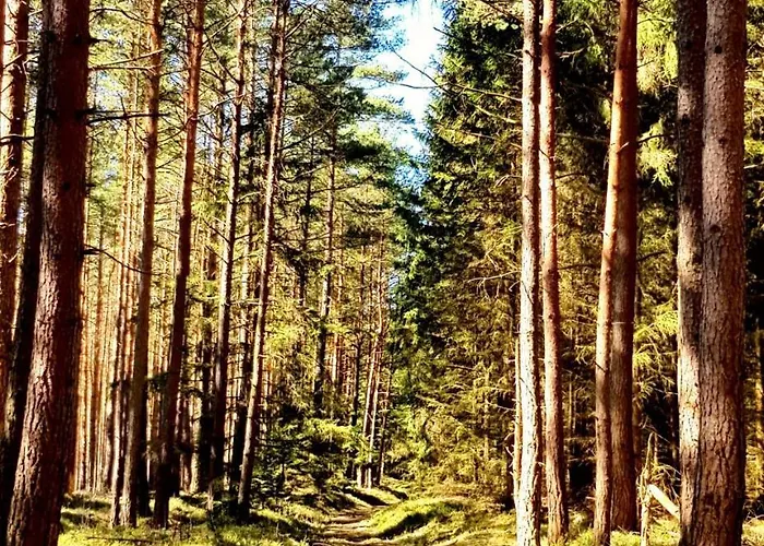 Daire Thueringer Waldbaude Tambach-Dietharz